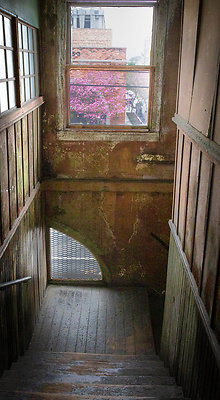 Pan Pacific-21 Pan Pacific-21