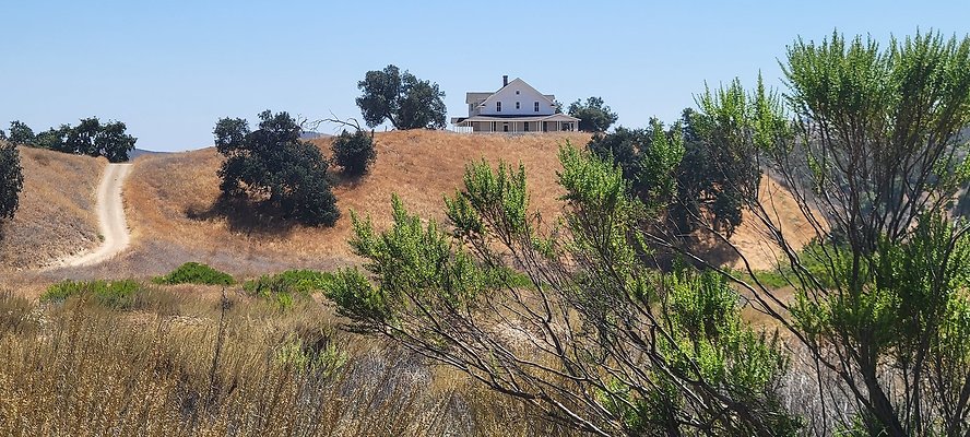 BigSky CambriaHouse 40441 copy BigSky CambriaHouse 40441 copy