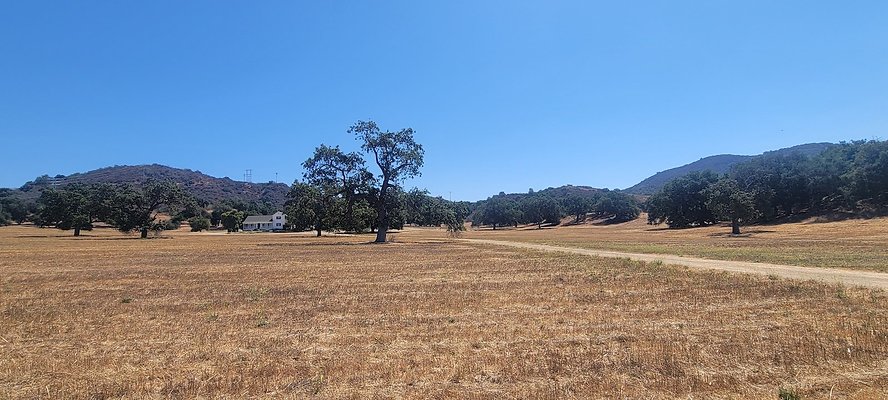 VenturaFarms Thornton VenturaFarms Thornton