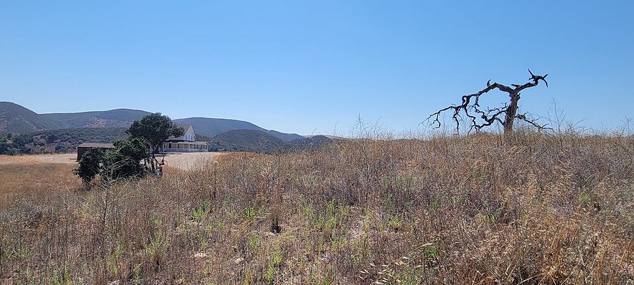 33CambriaHouseSelects