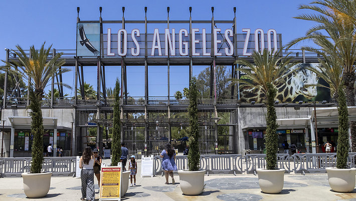 LA Zoo