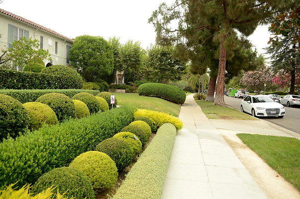 251-S-WindsorBlvd 9275 251-S-WindsorBlvd 9275