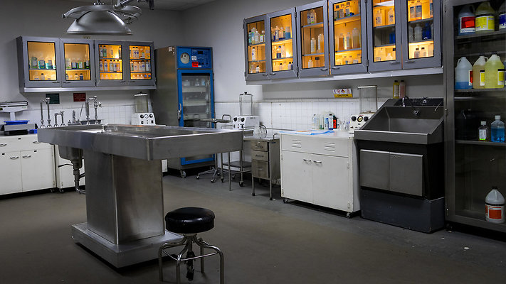 Mountain View Morgue-2