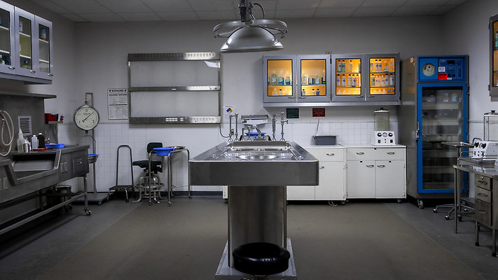 Mountain View Morgue