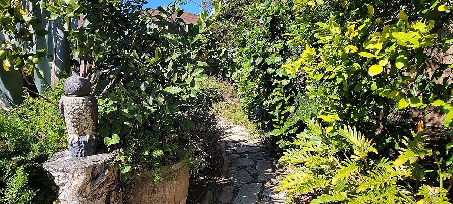 LA - 158 S Serrano Ave 1825 copy LA - 158 S Serrano Ave 1825 copy