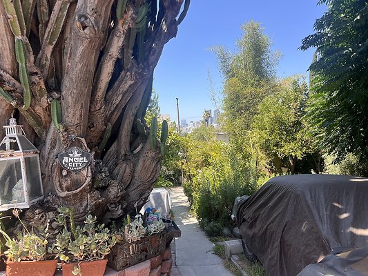 IMG 0446 2 IMG 0446 2