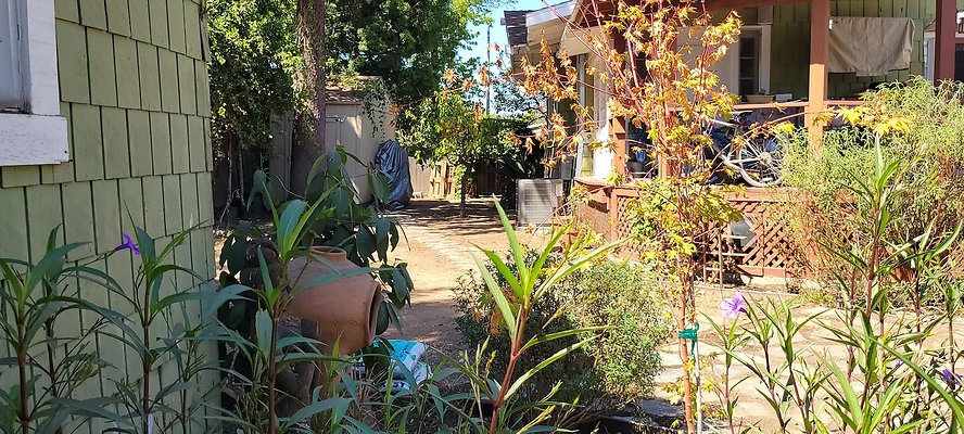 113256 copy 113256 copy