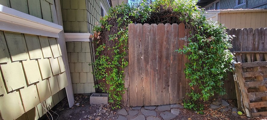 113540 copy 113540 copy