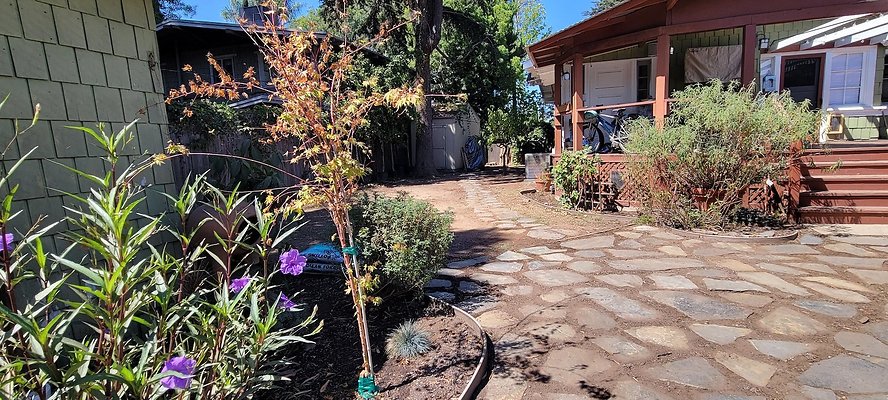 113214 copy 113214 copy