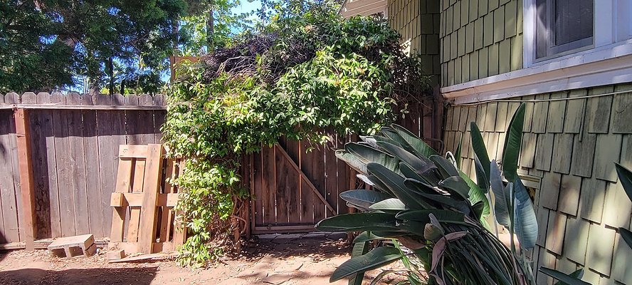 113448 copy 113448 copy