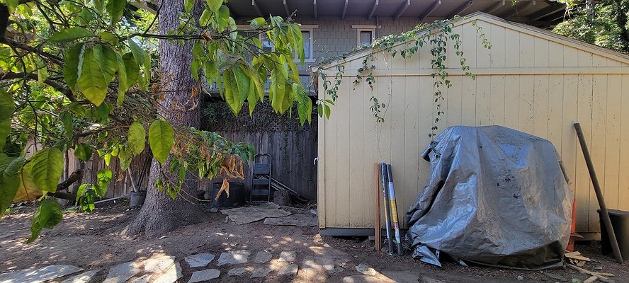 113439 copy 113439 copy