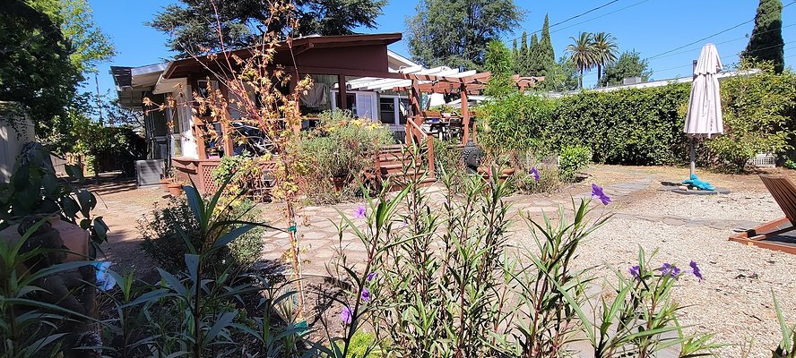 113250 copy 113250 copy