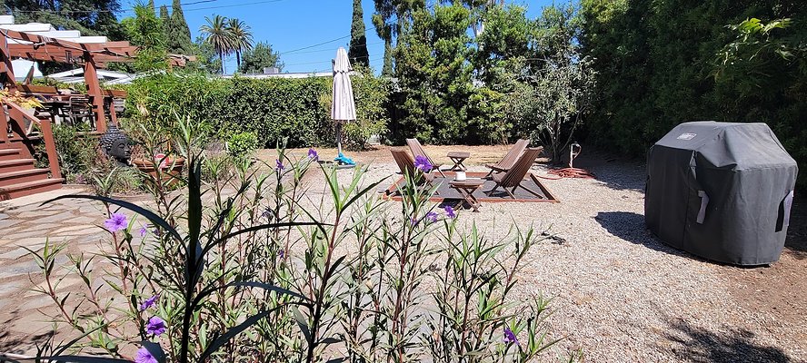 113246 copy 113246 copy