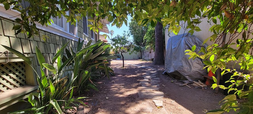 113551 copy 113551 copy