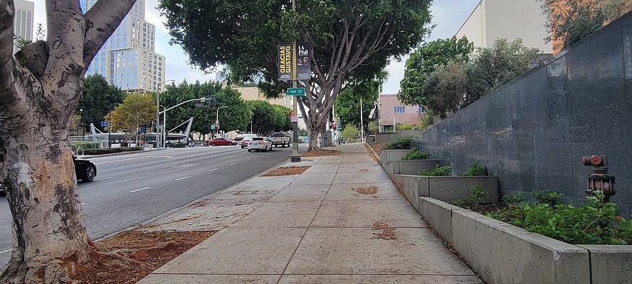 DTLA - City Hall Reflections 64042 copy DTLA - City Hall Reflections 64042 copy