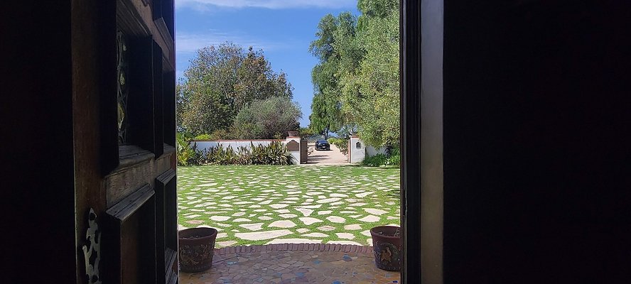 113539 copy 113539 copy