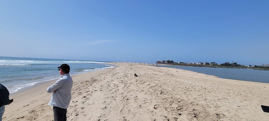 110631 copy 110631 copy